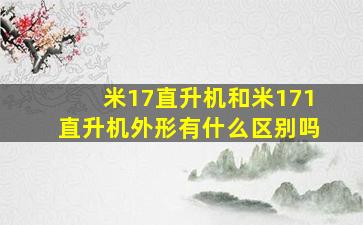 米17直升机和米171直升机外形有什么区别吗