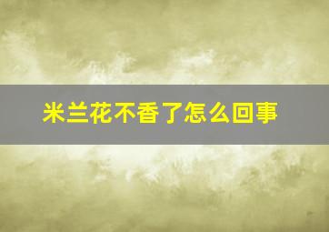 米兰花不香了怎么回事