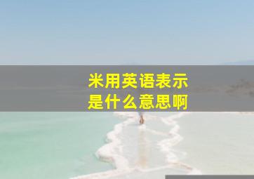 米用英语表示是什么意思啊