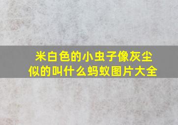 米白色的小虫子像灰尘似的叫什么蚂蚁图片大全