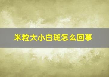 米粒大小白斑怎么回事