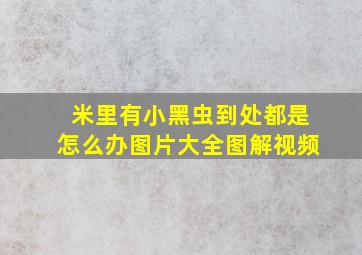 米里有小黑虫到处都是怎么办图片大全图解视频