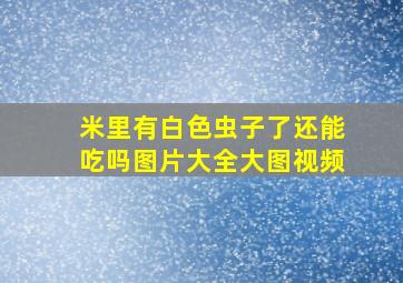 米里有白色虫子了还能吃吗图片大全大图视频