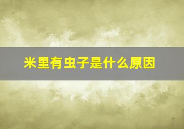 米里有虫子是什么原因