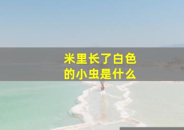 米里长了白色的小虫是什么