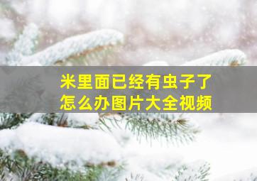 米里面已经有虫子了怎么办图片大全视频