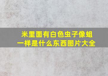 米里面有白色虫子像蛆一样是什么东西图片大全