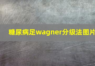 糖尿病足wagner分级法图片