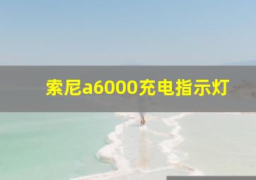 索尼a6000充电指示灯