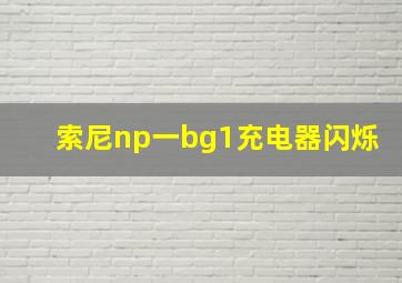 索尼np一bg1充电器闪烁