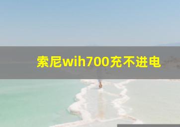 索尼wih700充不进电