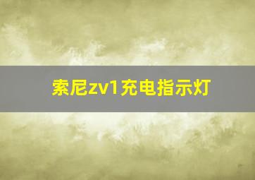 索尼zv1充电指示灯