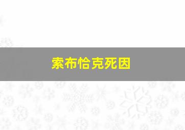 索布恰克死因