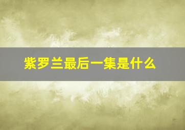 紫罗兰最后一集是什么