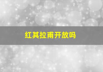 红其拉甫开放吗