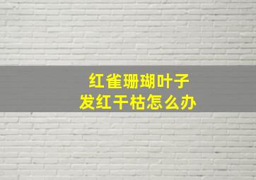 红雀珊瑚叶子发红干枯怎么办