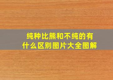 纯种比熊和不纯的有什么区别图片大全图解