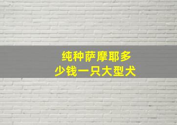 纯种萨摩耶多少钱一只大型犬