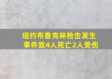 纽约布鲁克林枪击发生事件致4人死亡2人受伤