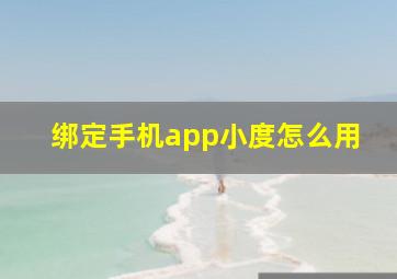 绑定手机app小度怎么用