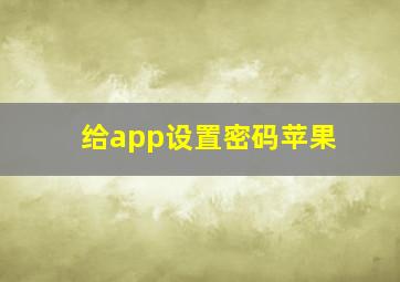 给app设置密码苹果