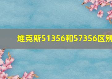 维克斯51356和57356区别