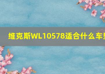 维克斯WL10578适合什么车型