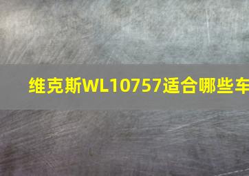 维克斯WL10757适合哪些车