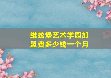 维兹堡艺术学园加盟费多少钱一个月