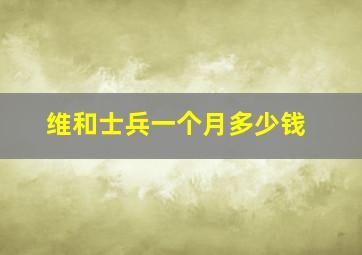 维和士兵一个月多少钱