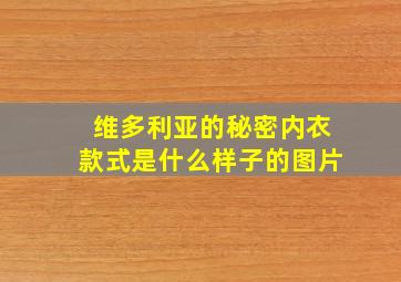 维多利亚的秘密内衣款式是什么样子的图片