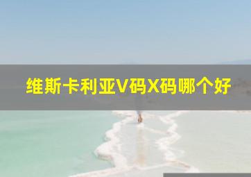 维斯卡利亚V码X码哪个好