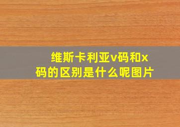 维斯卡利亚v码和x码的区别是什么呢图片