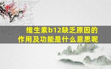 维生素b12缺乏原因的作用及功能是什么意思呢