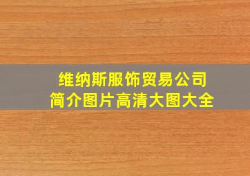 维纳斯服饰贸易公司简介图片高清大图大全