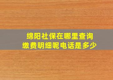 绵阳社保在哪里查询缴费明细呢电话是多少