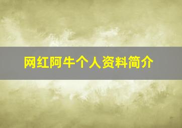 网红阿牛个人资料简介