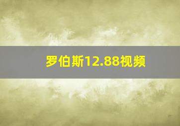 罗伯斯12.88视频