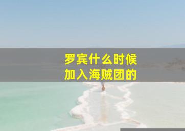 罗宾什么时候加入海贼团的