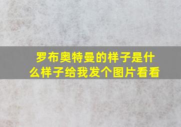 罗布奥特曼的样子是什么样子给我发个图片看看