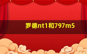 罗德nt1和797m5