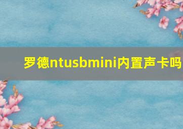 罗德ntusbmini内置声卡吗