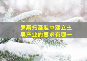 罗斯托基准中建立主导产业的要求有哪一