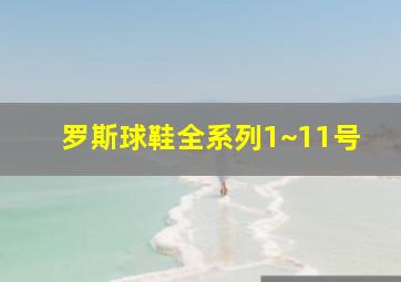 罗斯球鞋全系列1~11号