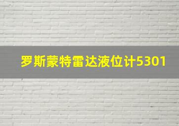 罗斯蒙特雷达液位计5301