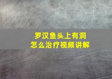 罗汉鱼头上有洞怎么治疗视频讲解