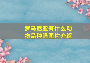 罗马尼亚有什么动物品种吗图片介绍