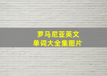 罗马尼亚英文单词大全集图片