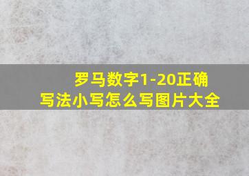 罗马数字1-20正确写法小写怎么写图片大全