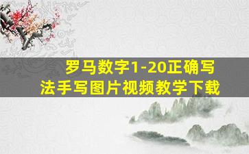 罗马数字1-20正确写法手写图片视频教学下载